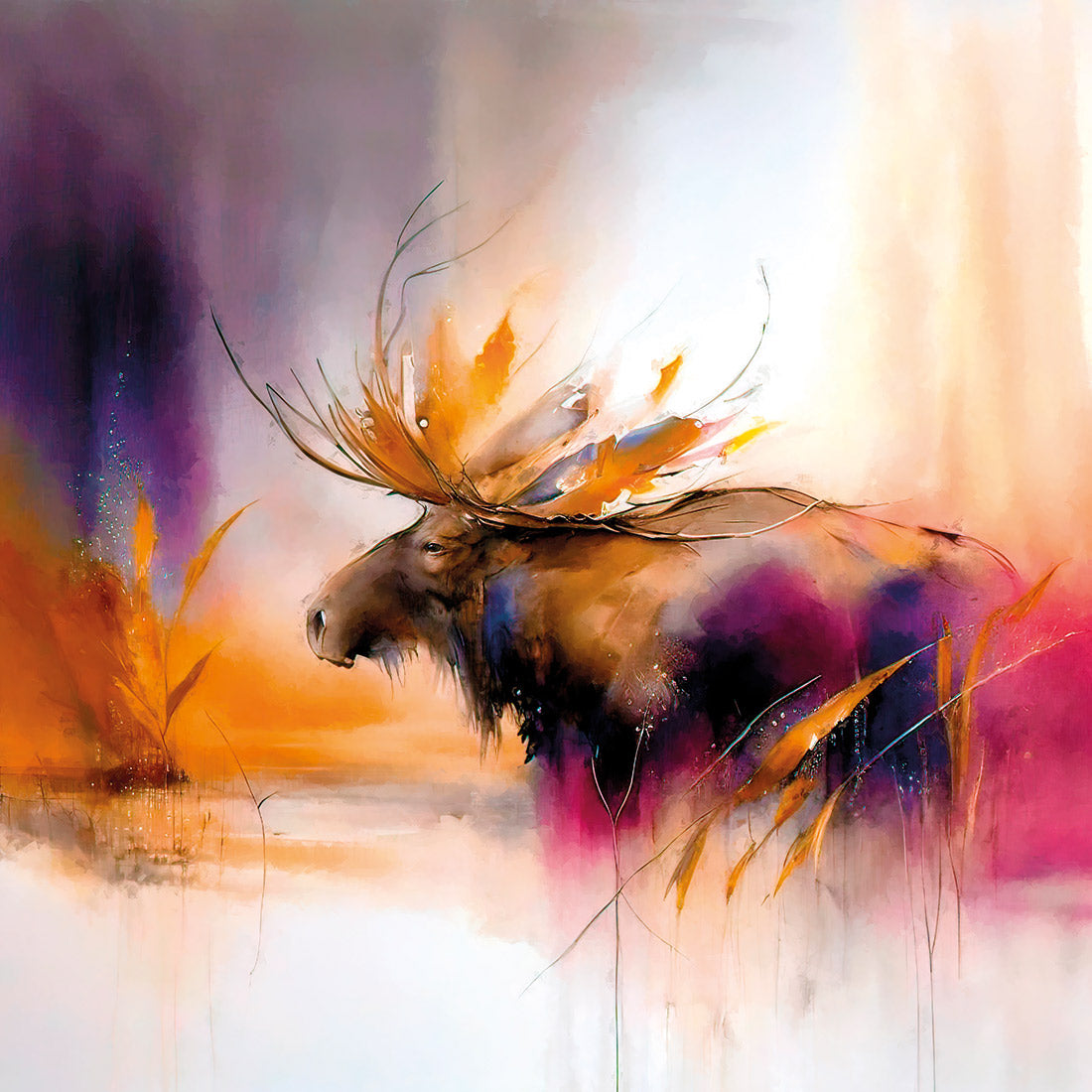 Sunset Moose I