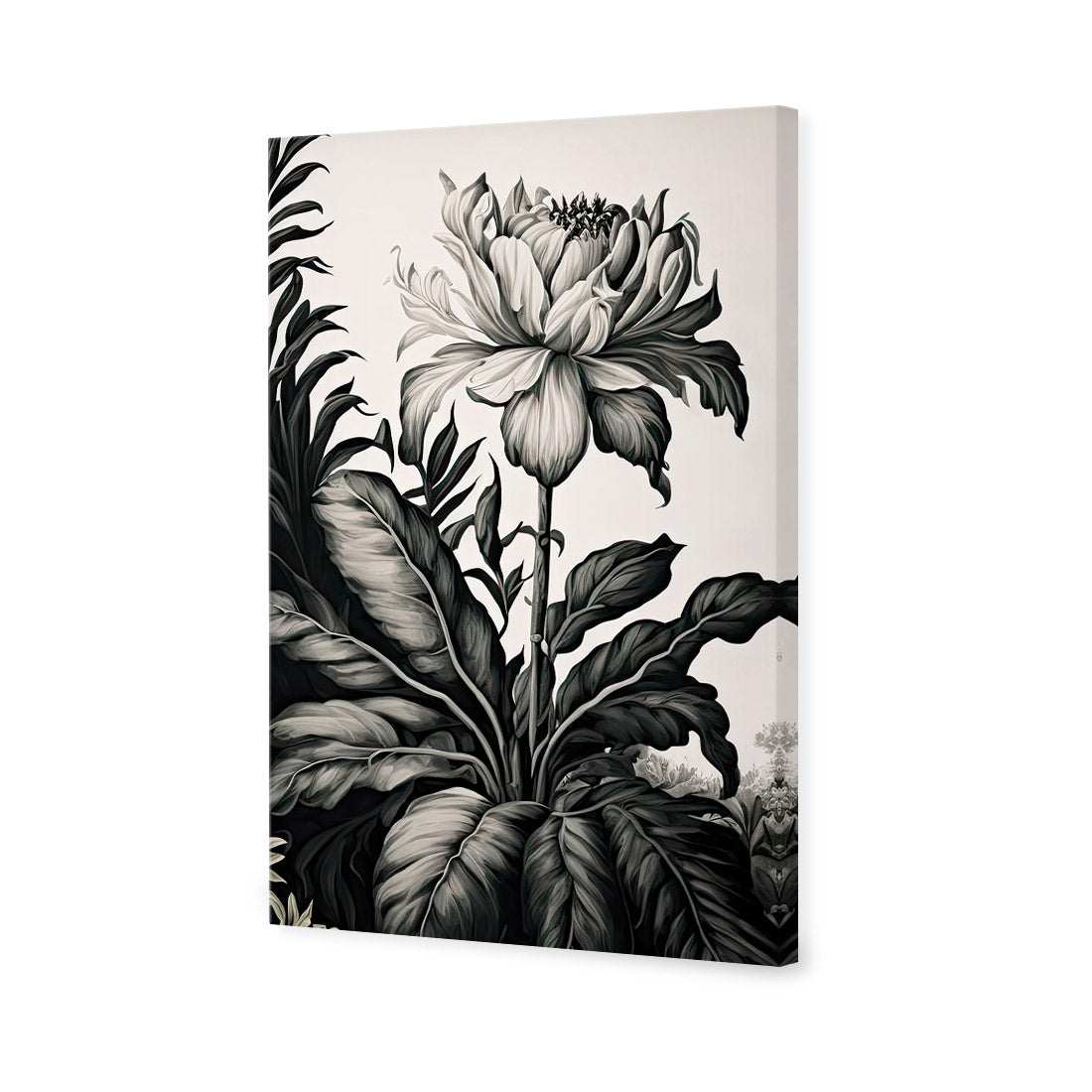 Vintage Floral I | Classic Canvas | No Frame | Stretched Canvas