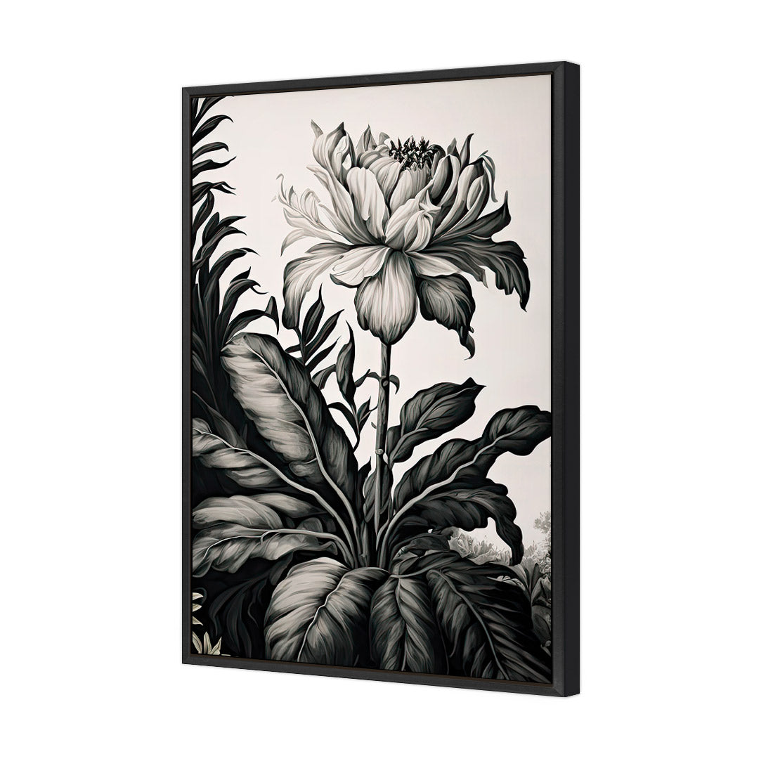 Vintage Floral I | Classic Canvas | Floating Frame | Black