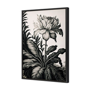 Vintage Floral I | Classic Canvas | Floating Frame | Black