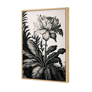 Vintage Floral I | Classic Canvas | Floating Frame | Oak