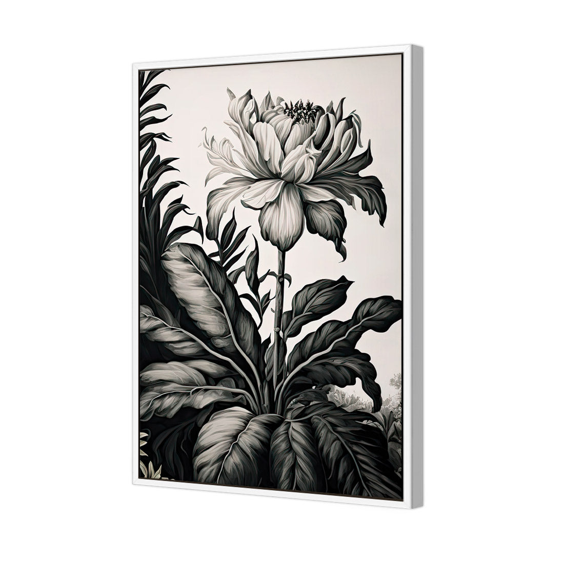 Vintage Floral I | Classic Canvas | Floating Frame | White