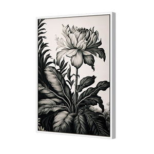 Vintage Floral I | Classic Canvas | Floating Frame | White