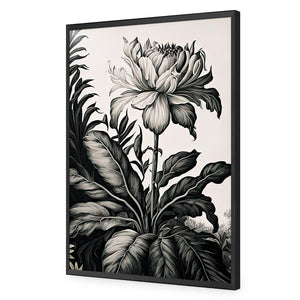 Vintage Floral I | Classic Acrylic | Flat Frame No Border | Black