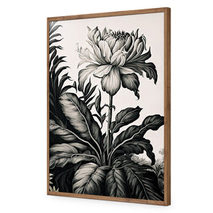 Vintage Floral I | Classic Acrylic | Flat Frame No Border | Natural