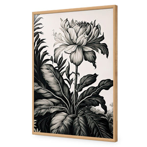 Vintage Floral I | Classic Acrylic | Flat Frame No Border | Oak