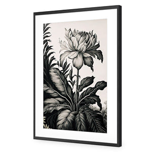 Vintage Floral I | Classic Acrylic | Flat Frame With Border | Black