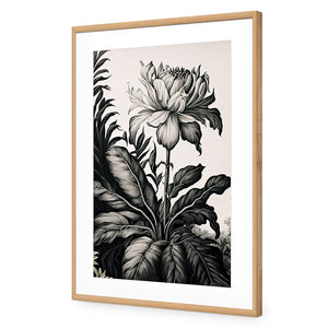 Vintage Floral I | Classic Acrylic | Flat Frame With Border | Oak