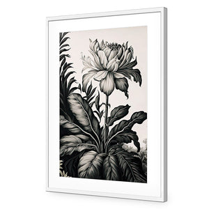 Vintage Floral I | Classic Acrylic | Flat Frame With Border | White