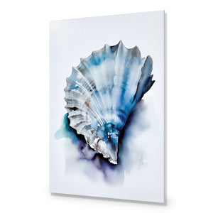 Watercolour Shell I | Classic Acrylic | No Frame No Border