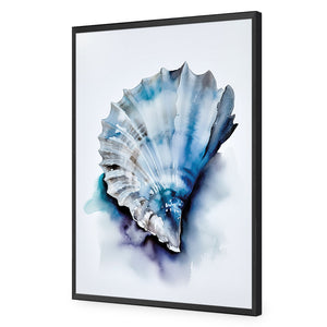 Watercolour Shell I | Classic Acrylic | Flat Frame No Border | Black