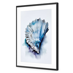 Watercolour Shell I | Classic Acrylic | Flat Frame With Border | Black