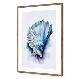 Watercolour Shell I | Classic Acrylic | Flat Frame With Border | Natural