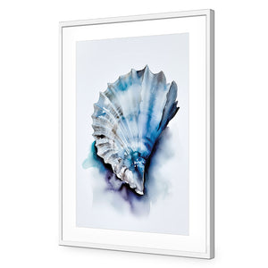 Watercolour Shell I | Classic Acrylic | Flat Frame With Border | White
