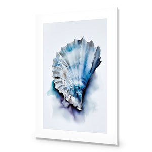 Watercolour Shell I | Classic Acrylic | No Frame With Border