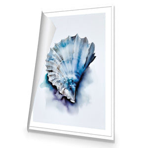 Watercolour Shell I | Classic Canvas | No Frame | Rolled Canvas