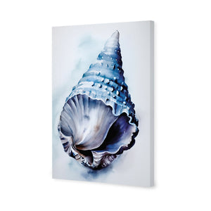 Watercolour Shell II | Classic Canvas | No Frame | Stretched Canvas