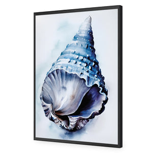 Watercolour Shell II | Classic Acrylic | Flat Frame No Border | Black