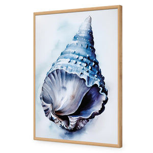 Watercolour Shell II | Classic Acrylic | Flat Frame No Border | Oak
