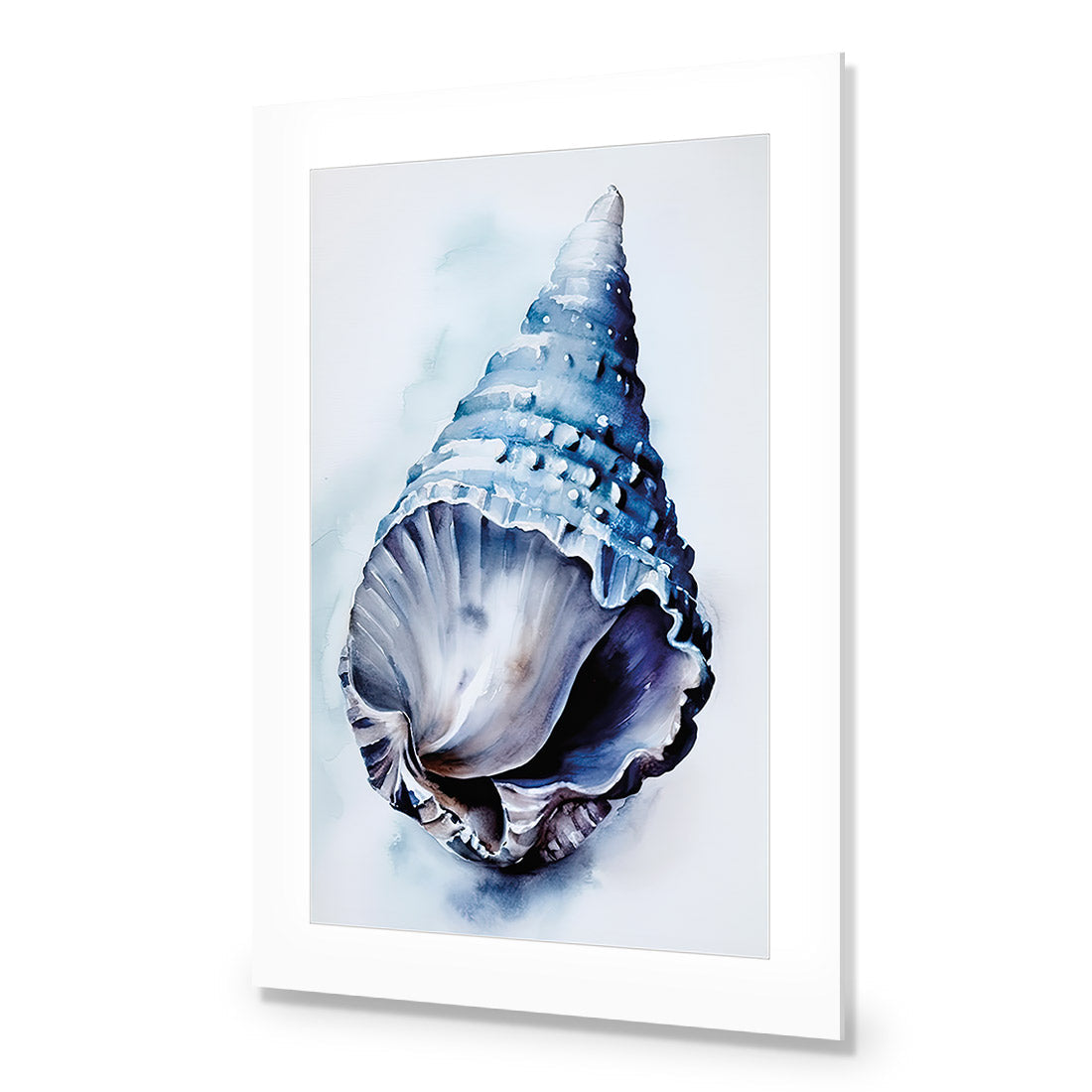 Watercolour Shell II | Classic Acrylic | No Frame With Border