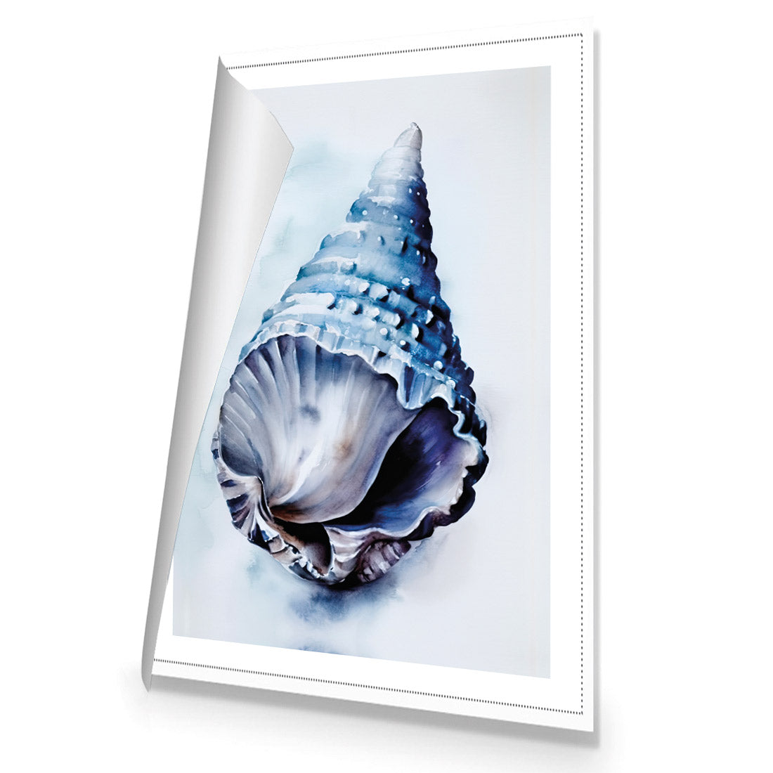 Watercolour Shell II | Classic Canvas | No Frame | Rolled Canvas