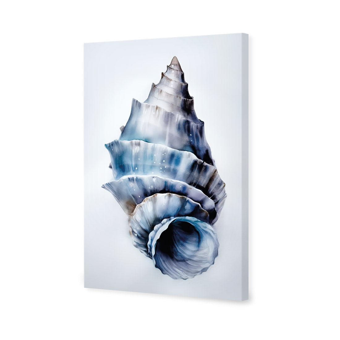 Watercolour Shell III