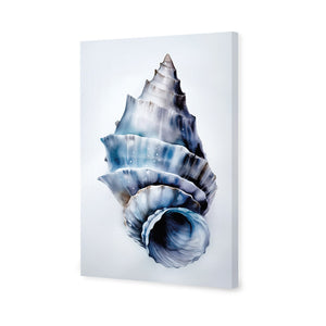 Watercolour Shell III | Classic Canvas | No Frame | Stretched Canvas