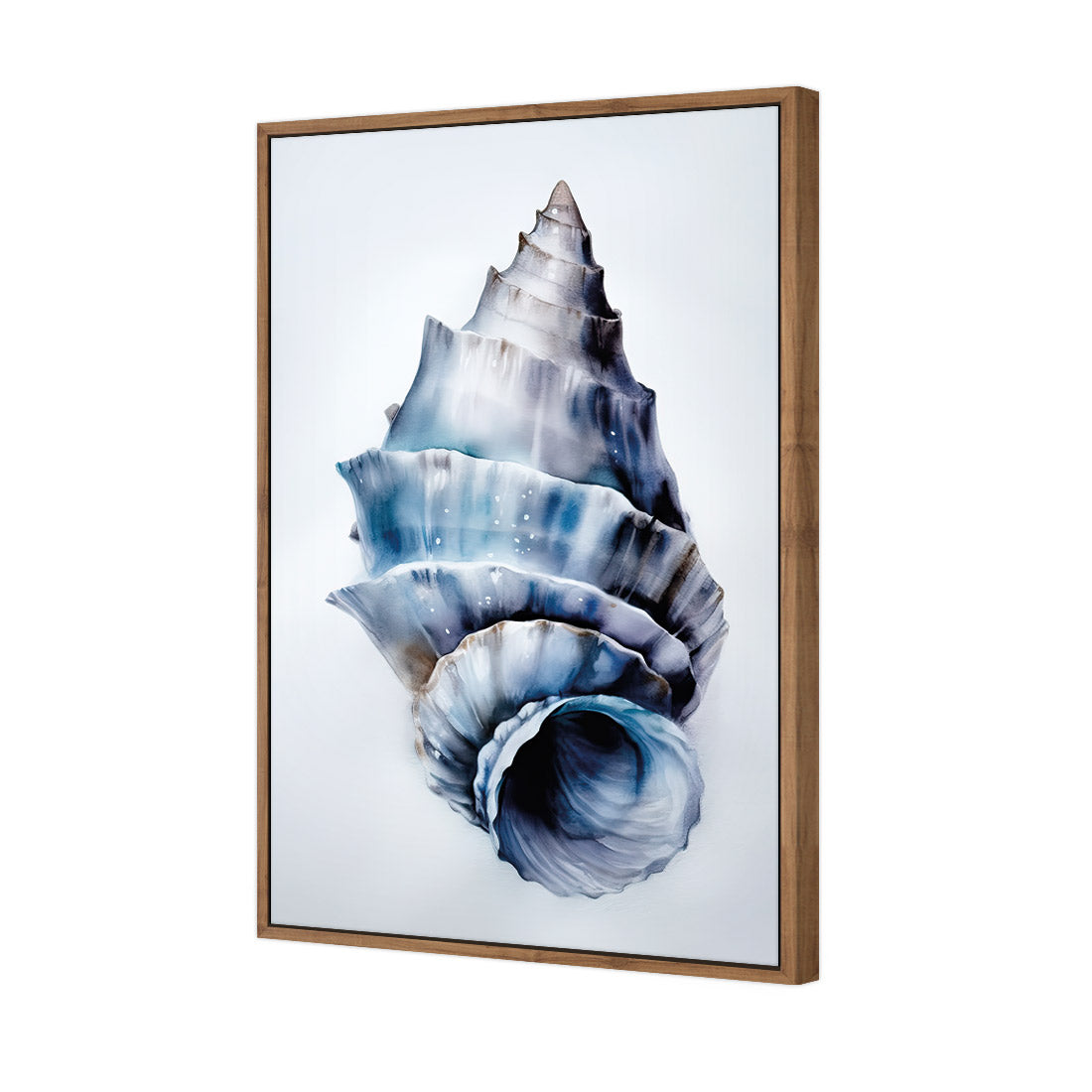 Watercolour Shell III