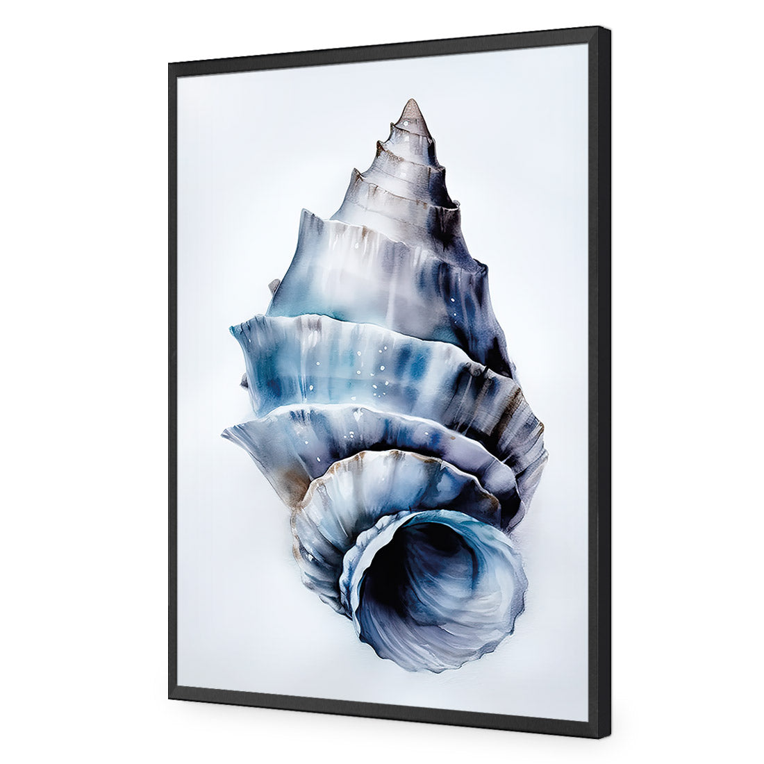 Watercolour Shell III | Classic Acrylic | Flat Frame No Border | Black