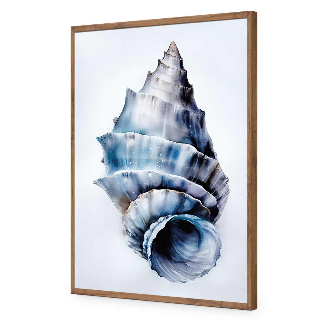 Watercolour Shell III