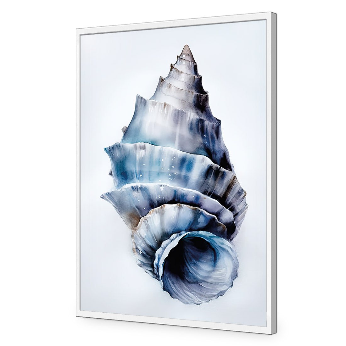 Watercolour Shell III