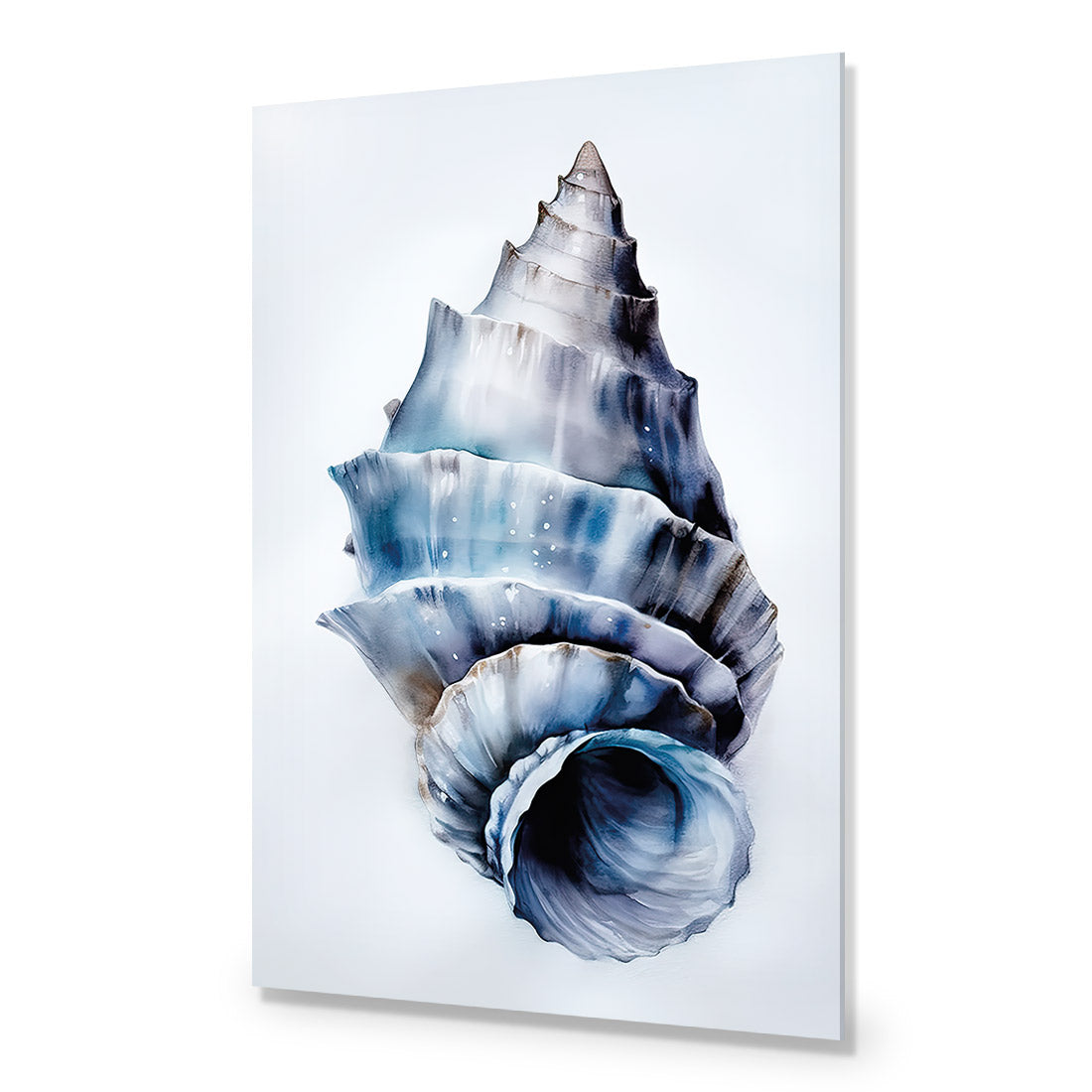 Watercolour Shell III