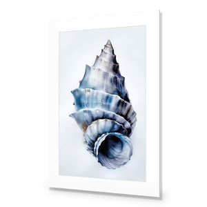 Watercolour Shell III | Classic Acrylic | No Frame With Border