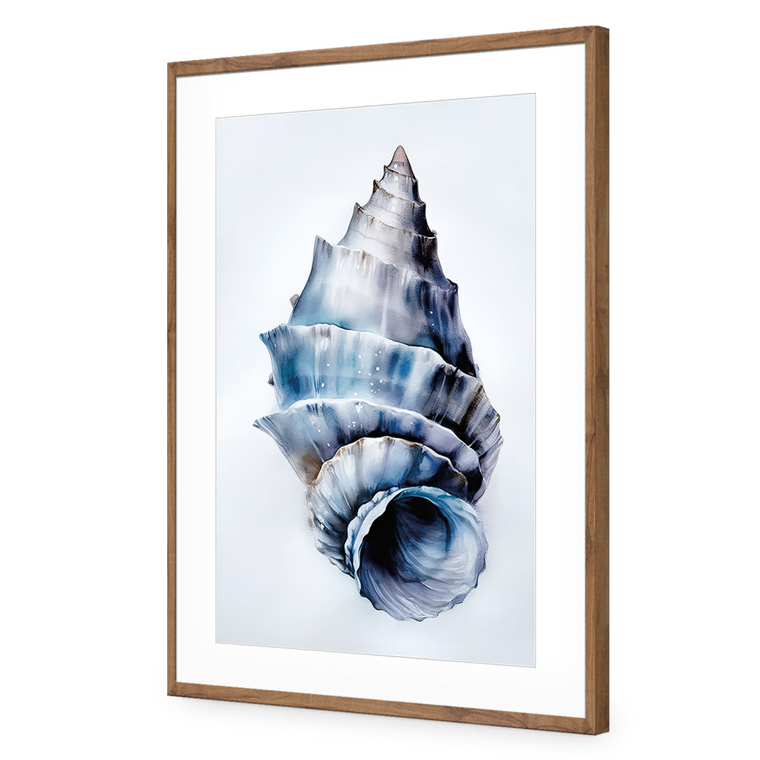 Watercolour Shell III