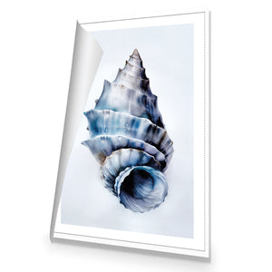 Watercolour Shell III | Classic Canvas | No Frame | Rolled Canvas
