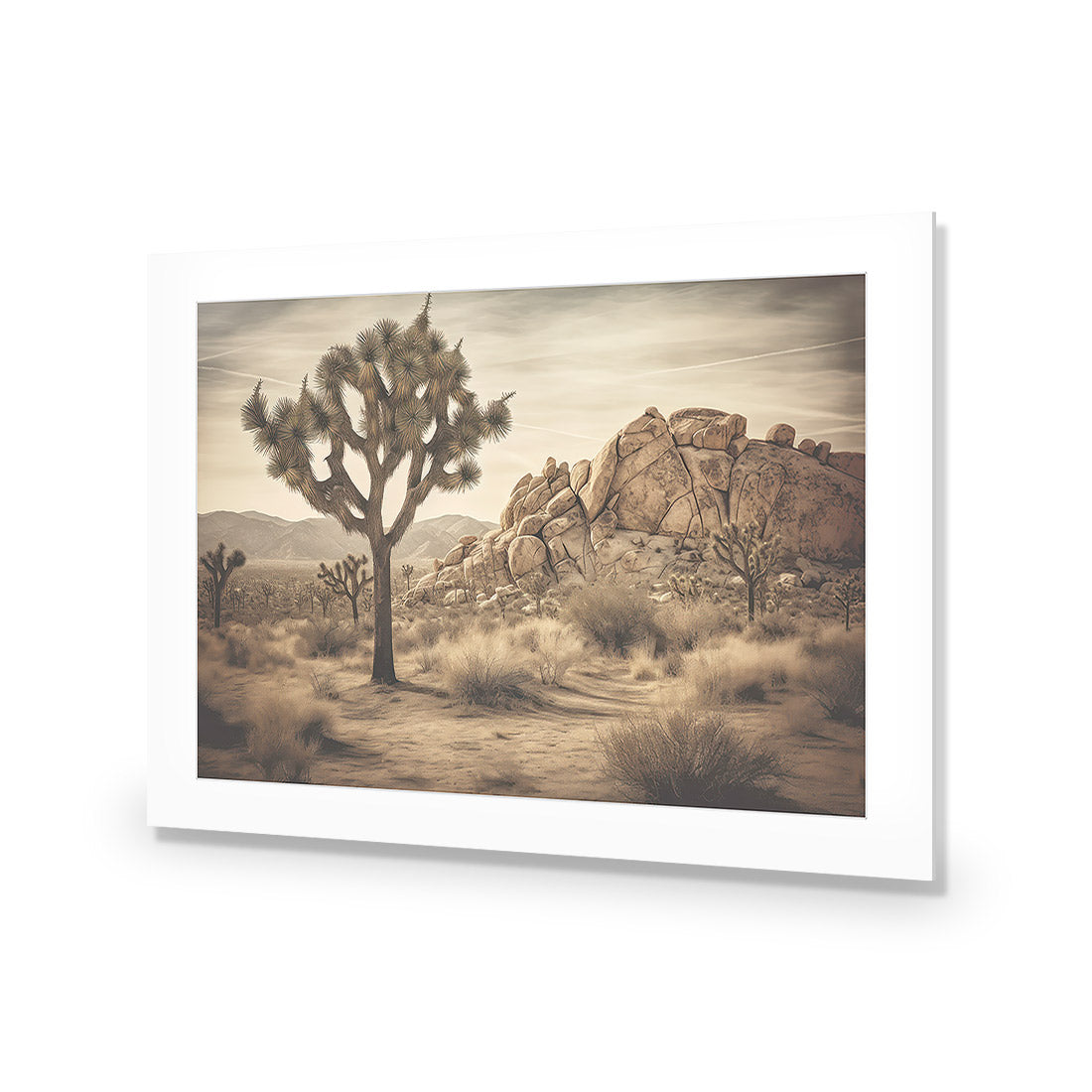 Joshua Tree