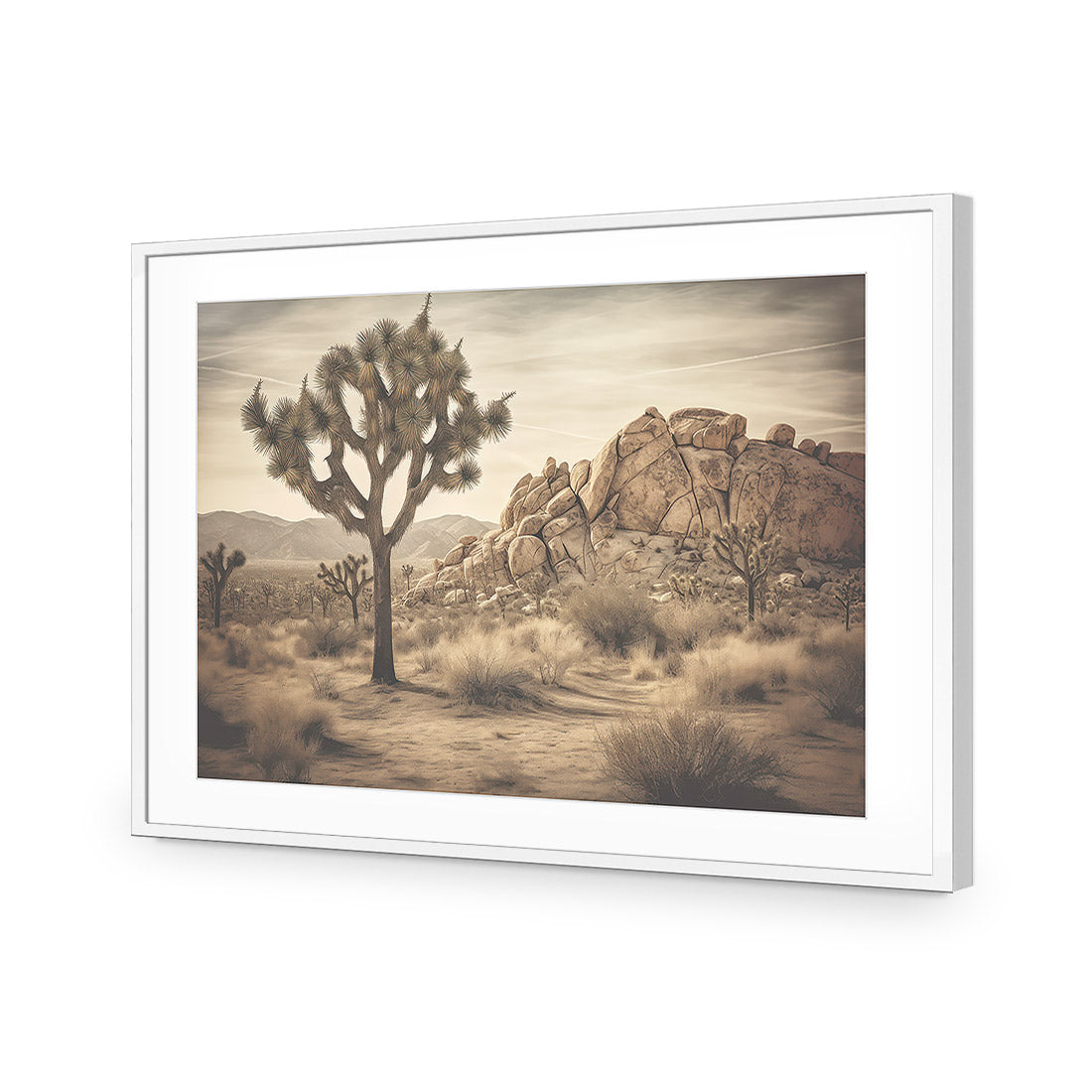 Joshua Tree