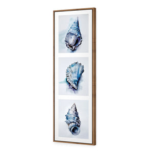 Watercolour Shell Montage | Classic Canvas | Floating Frame | Natural