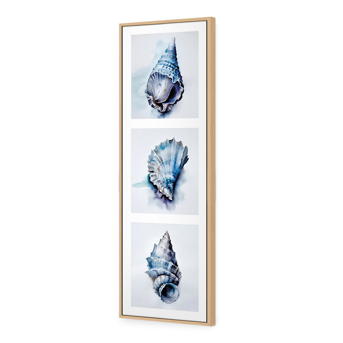 Watercolour Shell Montage | Classic Canvas | Floating Frame | Oak