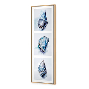 Watercolour Shell Montage | Classic Canvas | Floating Frame | Oak