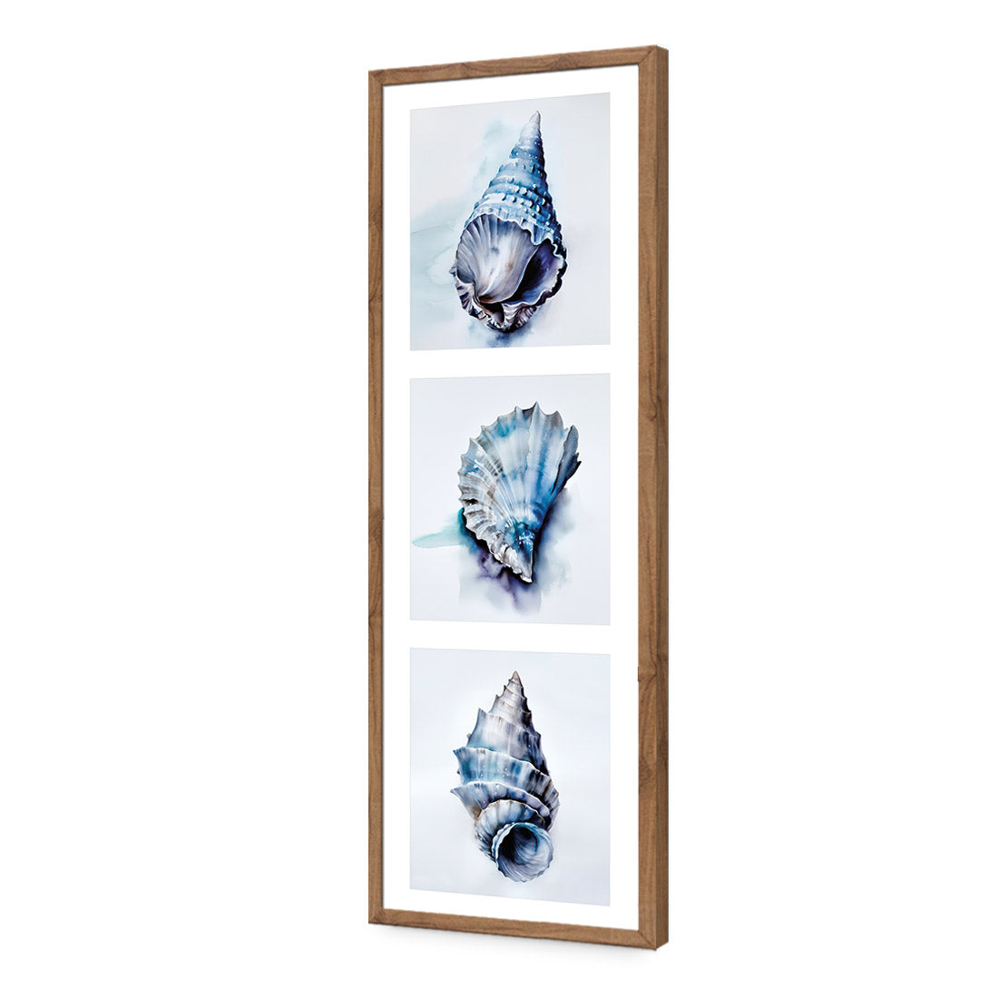 Watercolour Shell Montage | Classic Acrylic | Flat Frame No Border | Natural