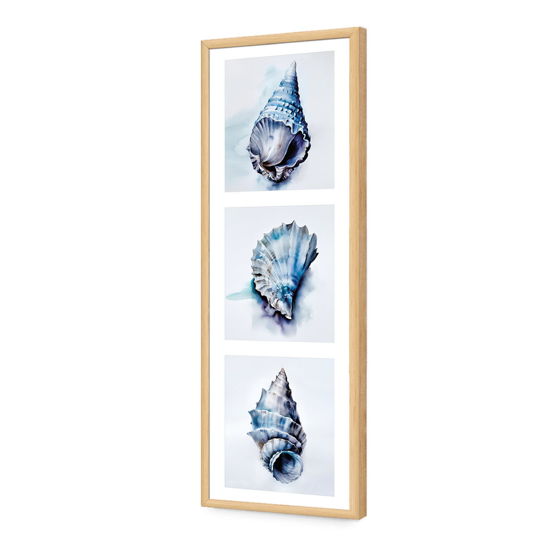 Watercolour Shell Montage | Classic Acrylic | Flat Frame No Border | Oak