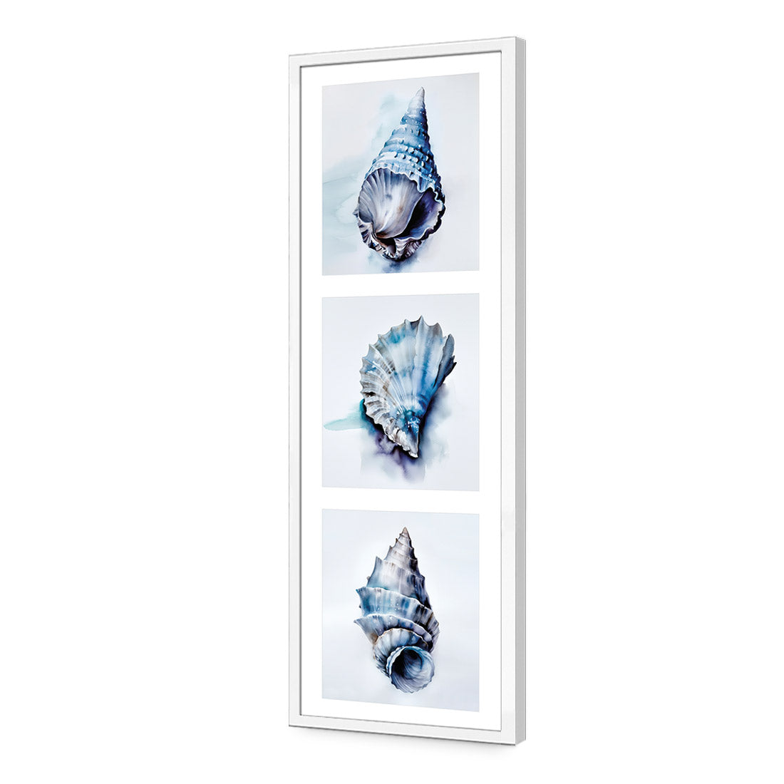 Watercolour Shell Montage | Classic Acrylic | Flat Frame No Border | White