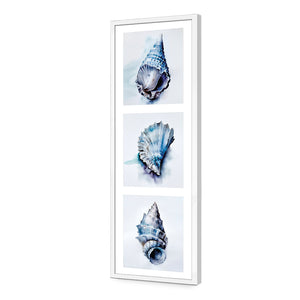 Watercolour Shell Montage | Classic Acrylic | Flat Frame No Border | White