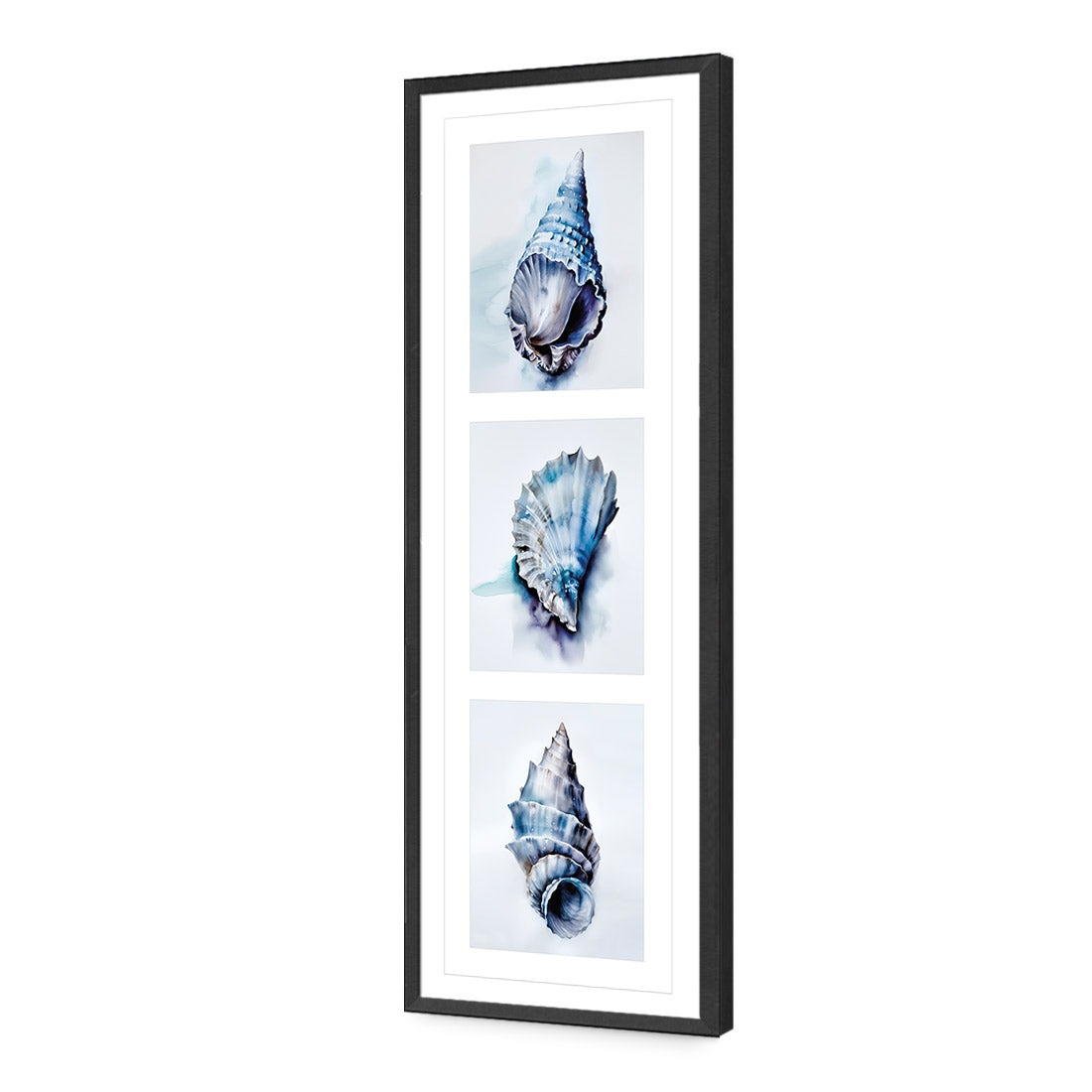 Watercolour Shell Montage | Classic Acrylic | Flat Frame With Border | Black