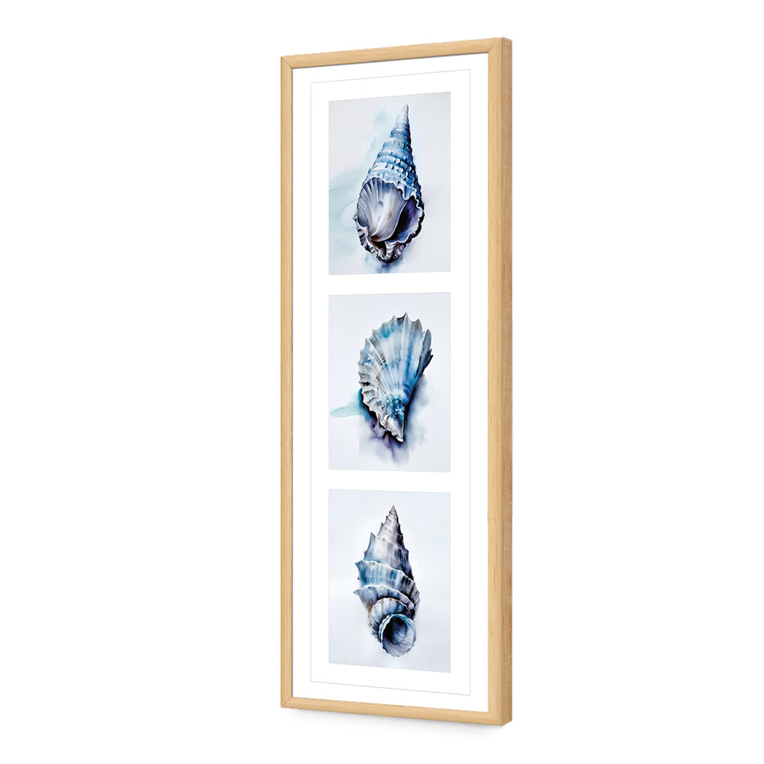 Watercolour Shell Montage | Classic Acrylic | Flat Frame With Border | Oak
