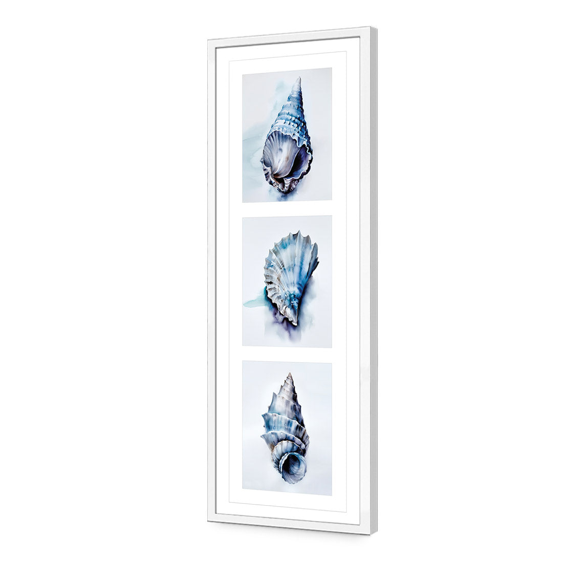Watercolour Shell Montage | Classic Acrylic | Flat Frame With Border | White