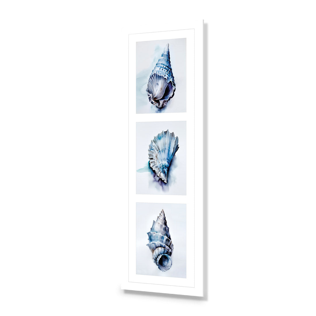 Watercolour Shell Montage | Classic Acrylic | No Frame With Border