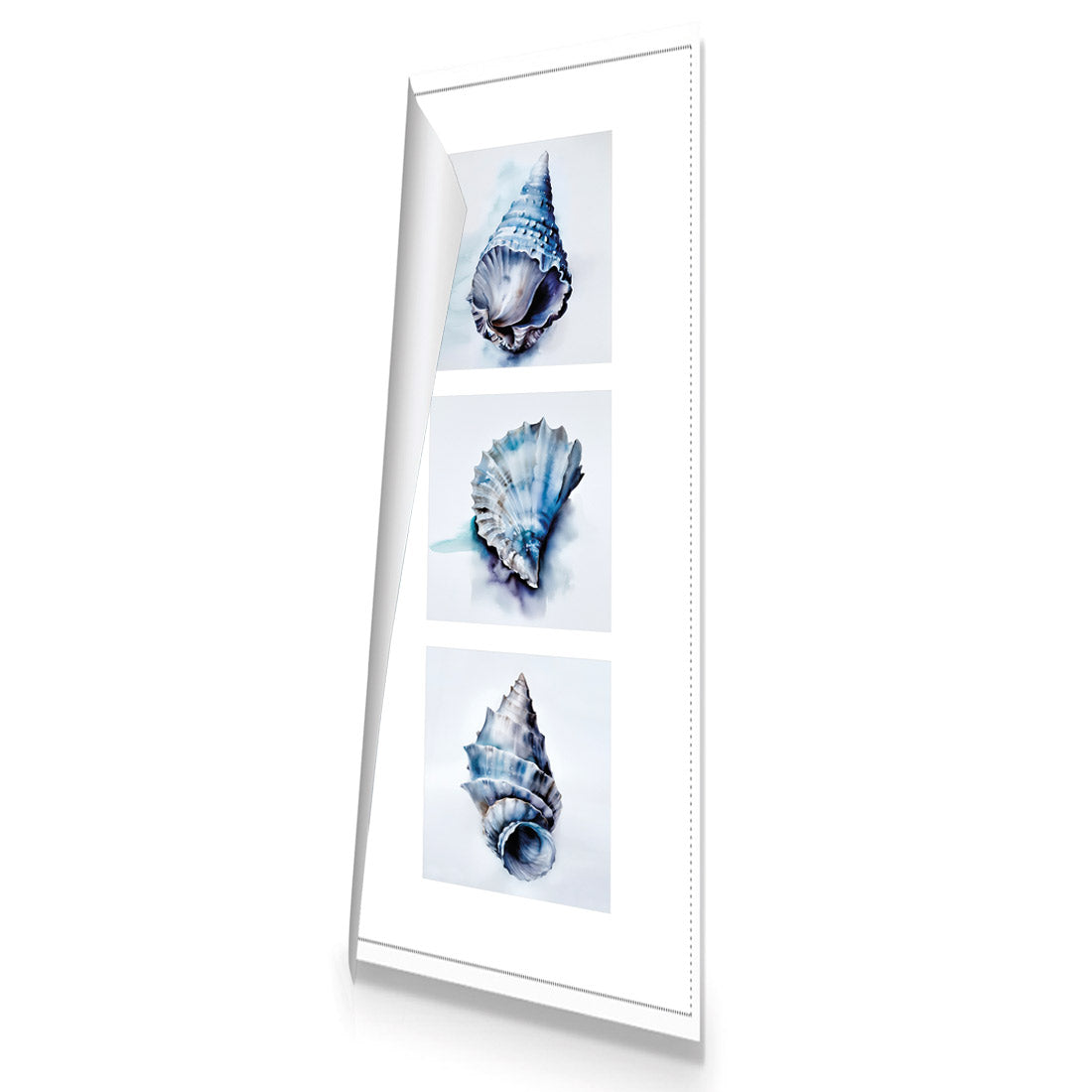 Watercolour Shell Montage | Classic Canvas | No Frame | Rolled Canvas
