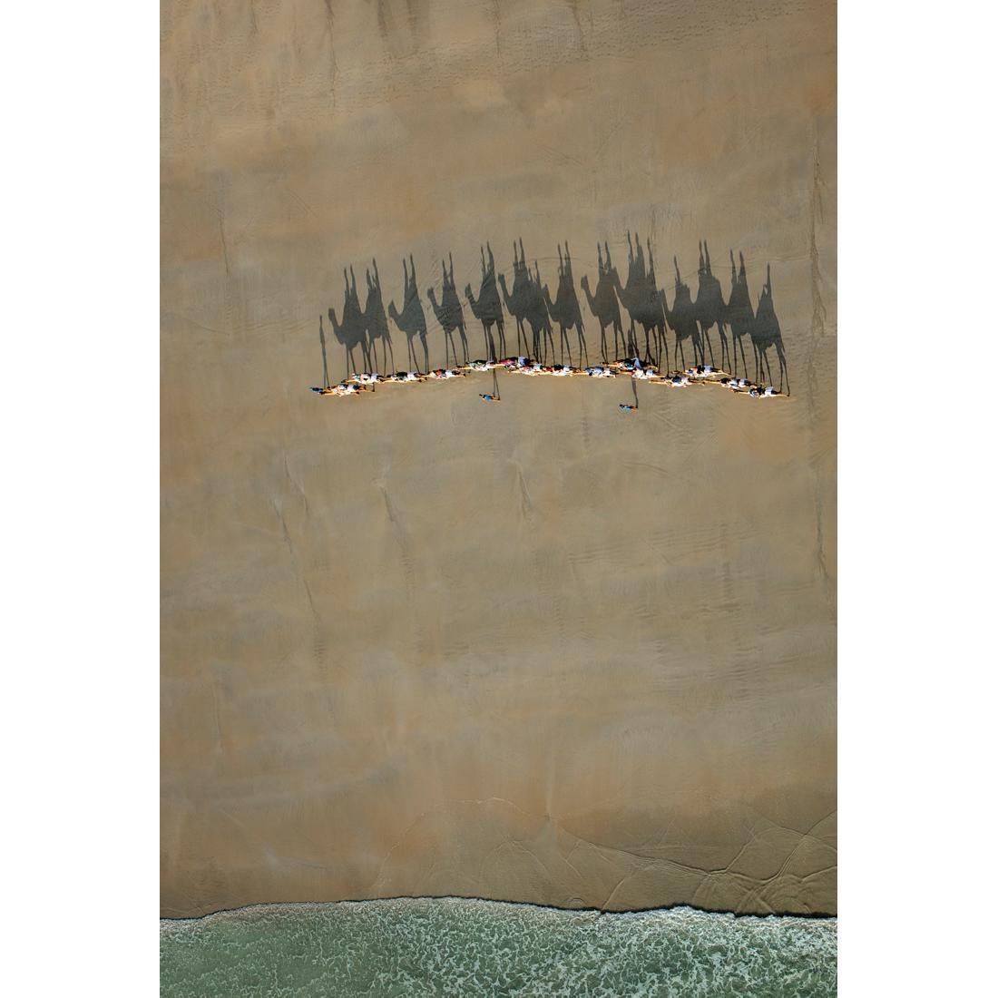 Broome Camel Train By Renee Doyle